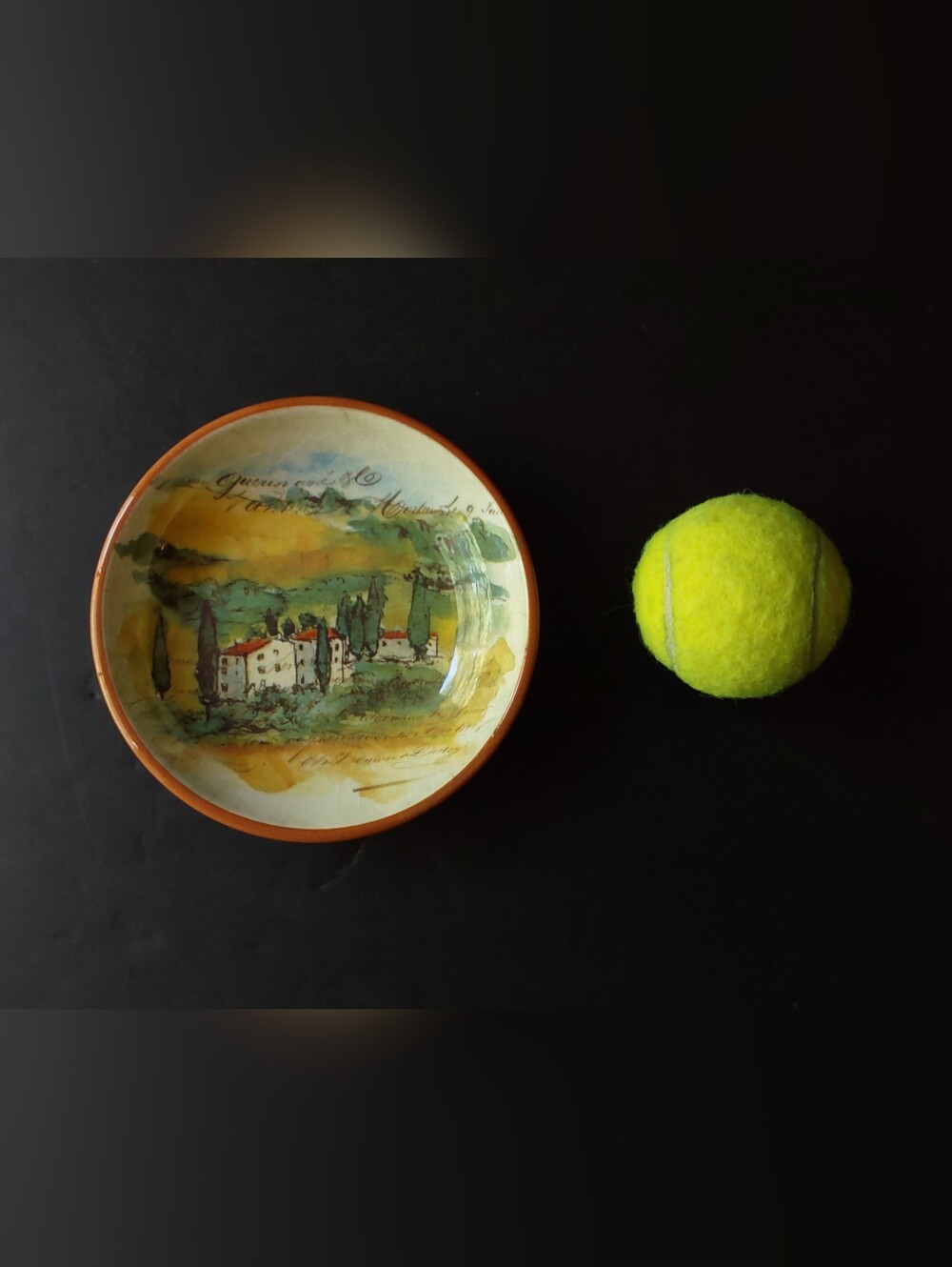 NEW Williams-Sonoma PAYSAGE DIP BOWL 5.75" Dia